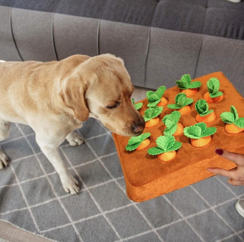 Tapis carotte à renifler jouet pour chien interactif
