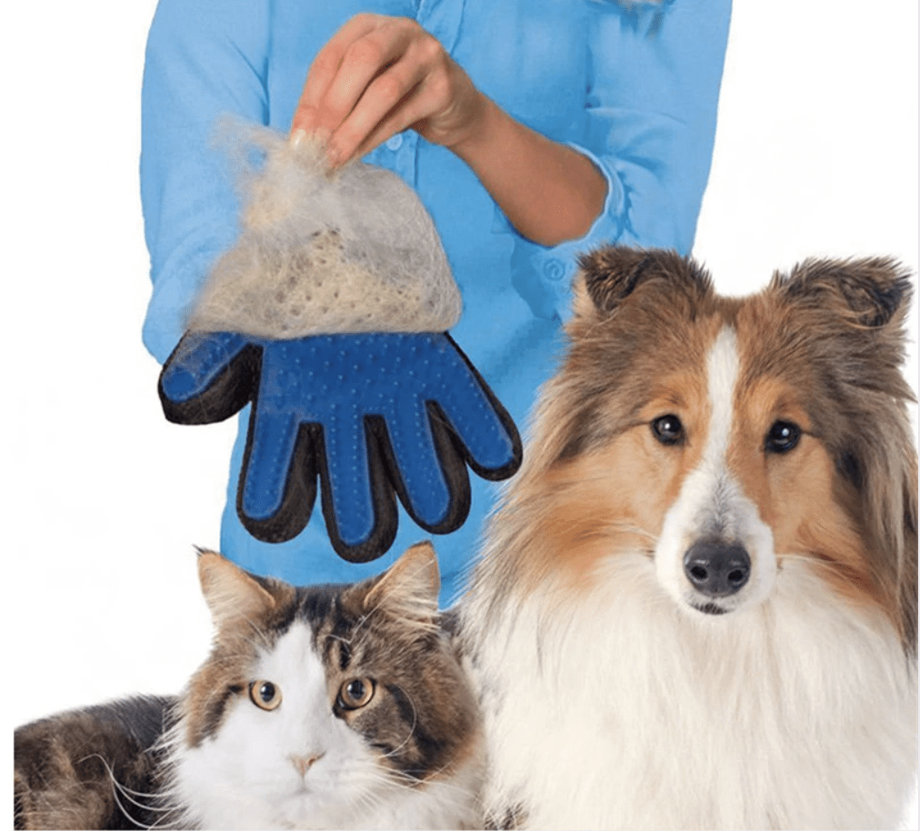 Gant ramasse poils pour chats et chiens