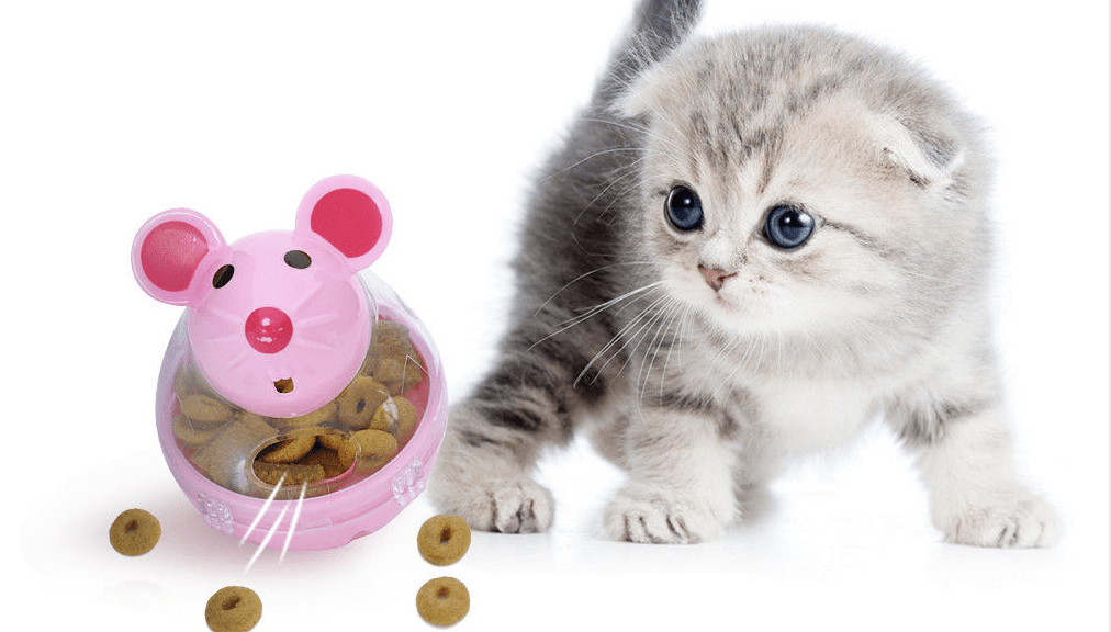 Jouet distributeurs souris de friandises pour chat