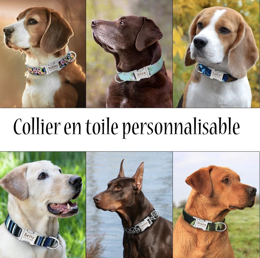 Collier toile personnalisé pour chien