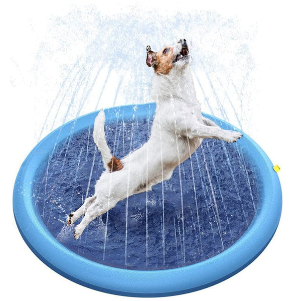 Piscine pour chien avec jet d'eau