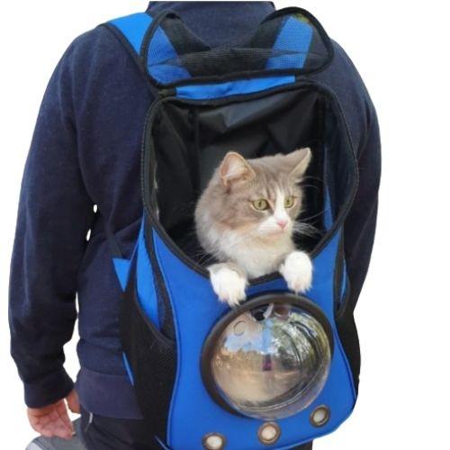 Le meilleur sac de transport pour chat - Chiens & Chats Boutique