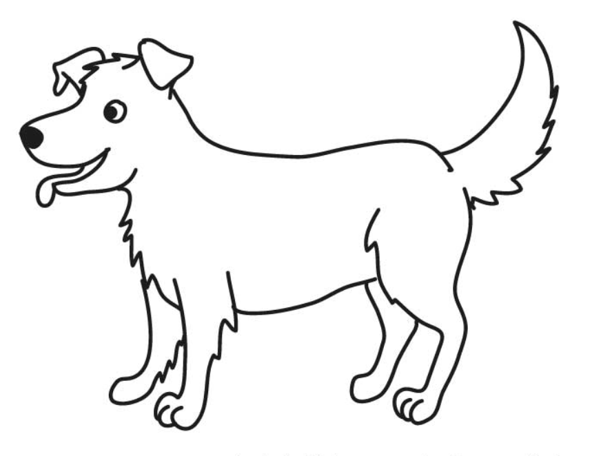 Comment dessiner un chien ?
