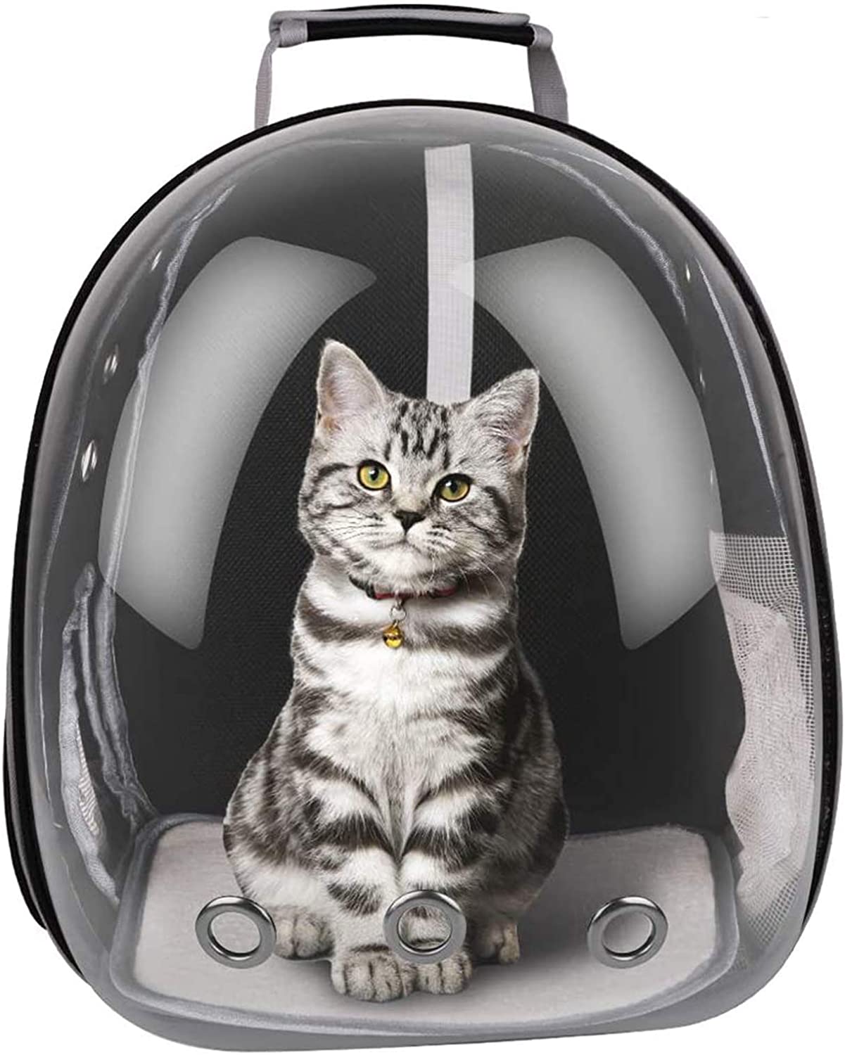 Le meilleur sac de transport pour chat - Chiens & Chats Boutique