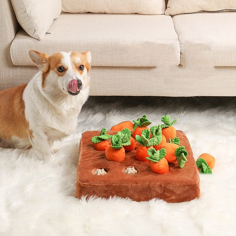 Tapis carotte à renifler jouet pour chien interactif