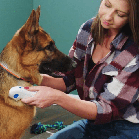 Peigne Électrique Anti-Puces pour chiens et chats