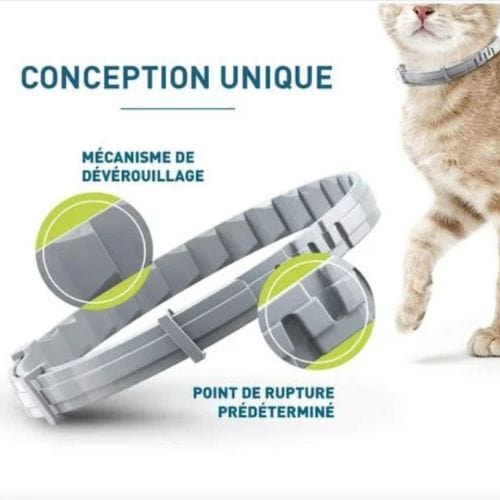 Collier Anti-Parasites Naturel pour Chats