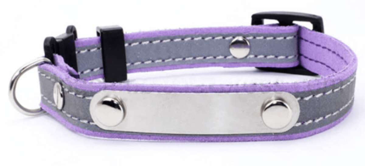 collier-chat-violet