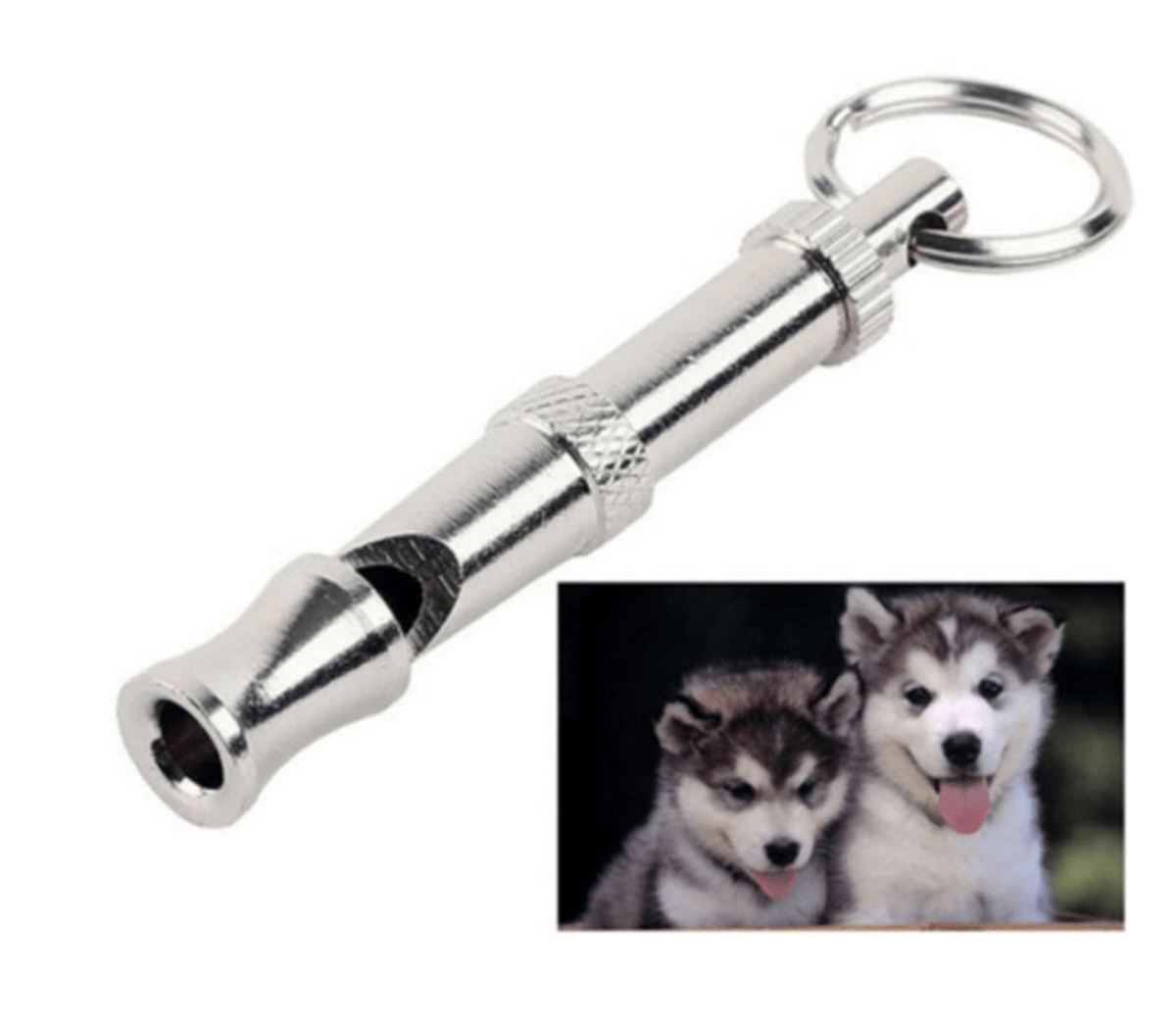 Sifflet ultrasons pour chien