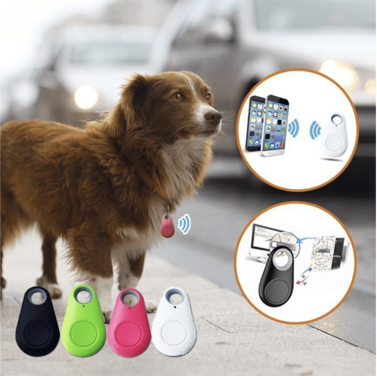 Mini GPS pour chiens et chats - Chiens & Chats Boutique