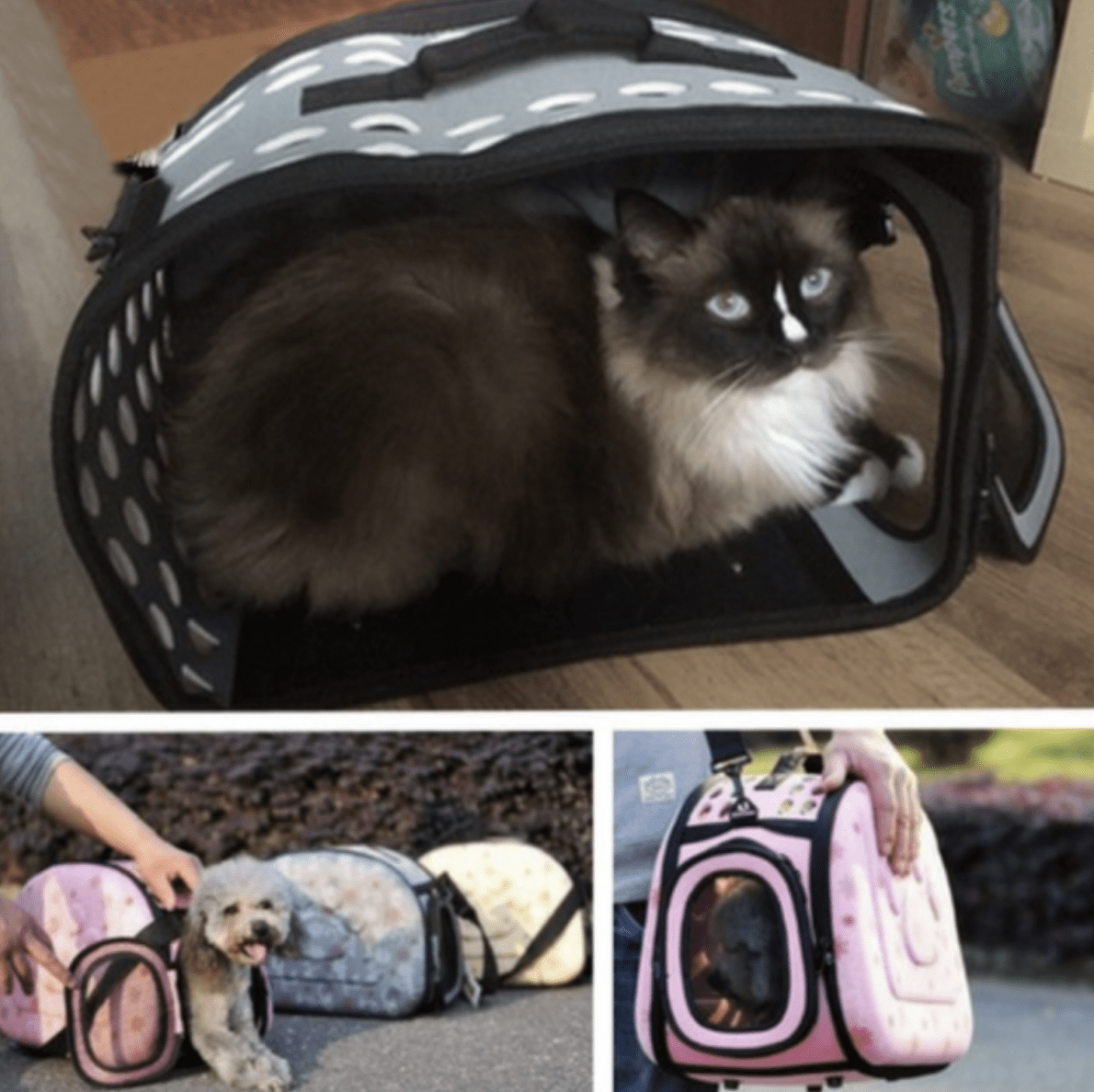 sac de voyage pour chats et chiens, extensible, pliable, capacité