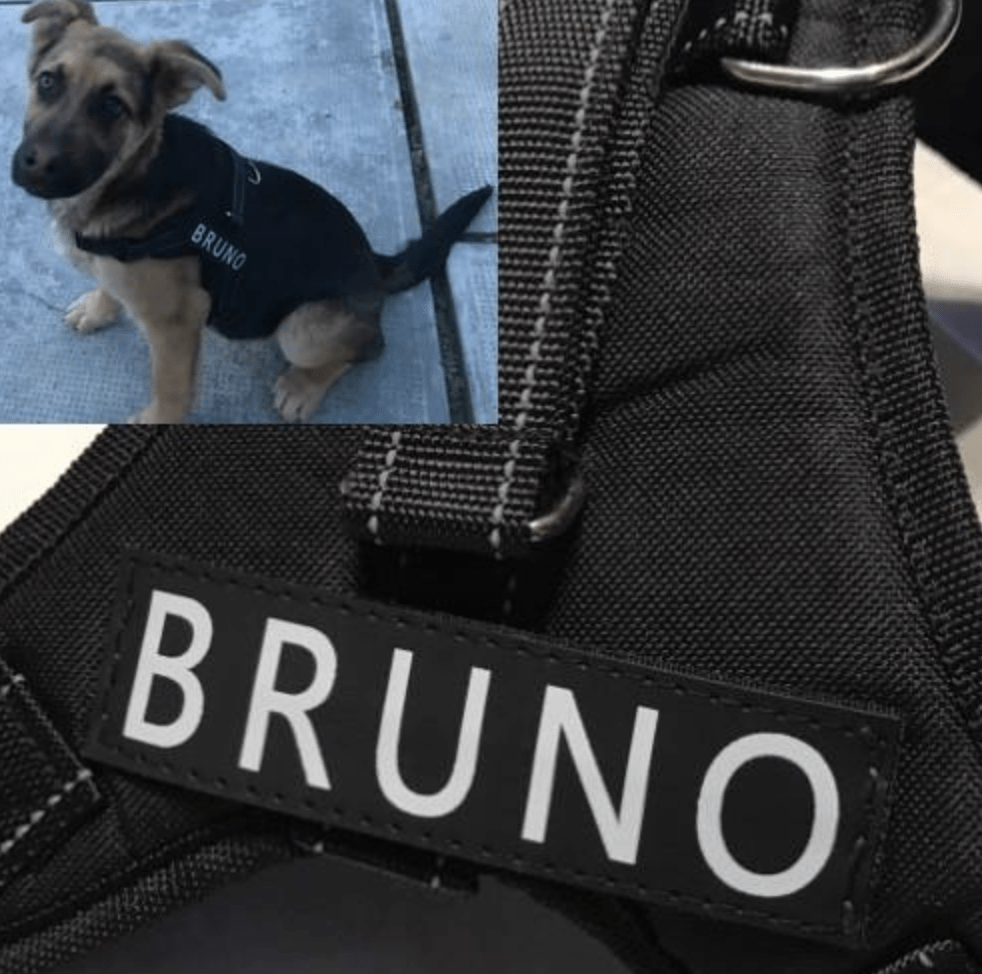 2 étiquettes personnalisées pour Harnais type &quot;Juluis k9&quot;