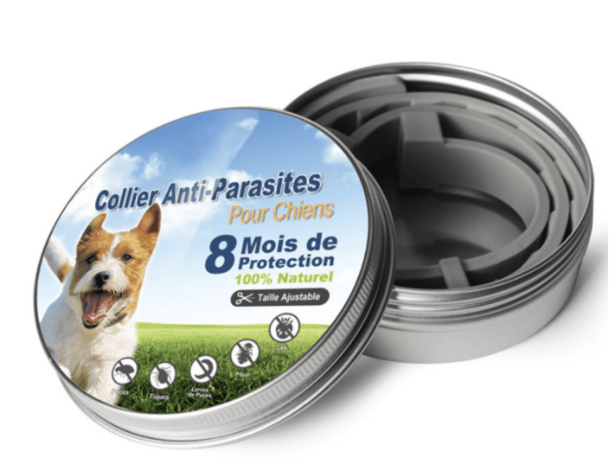 Collier Anti-Parasites Naturel pour Chiens