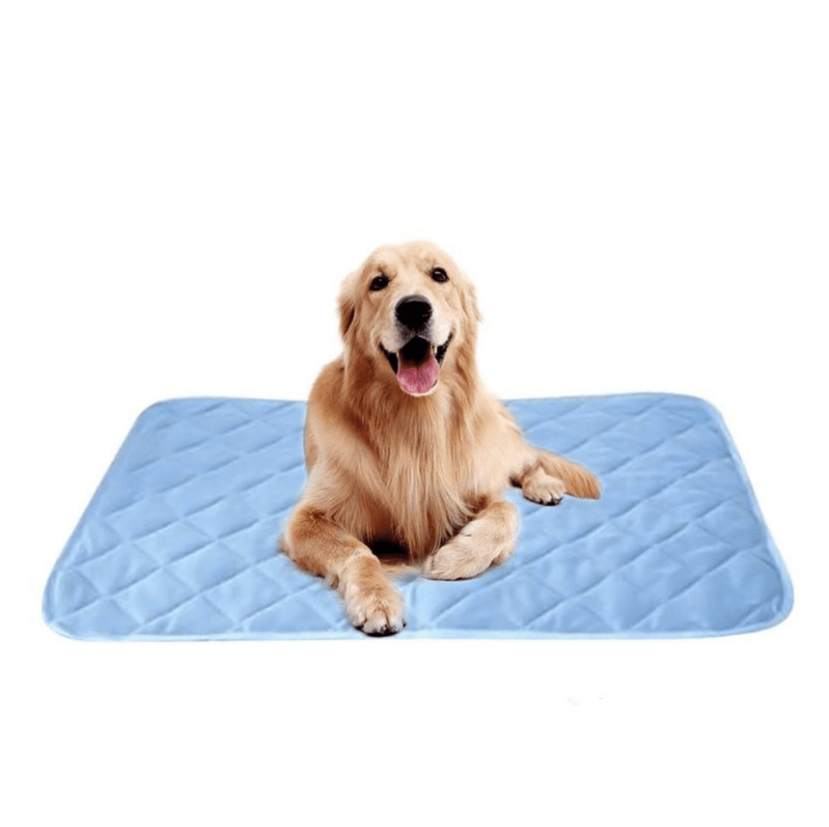 Tapis Refroidissant pour Chiens et Chats