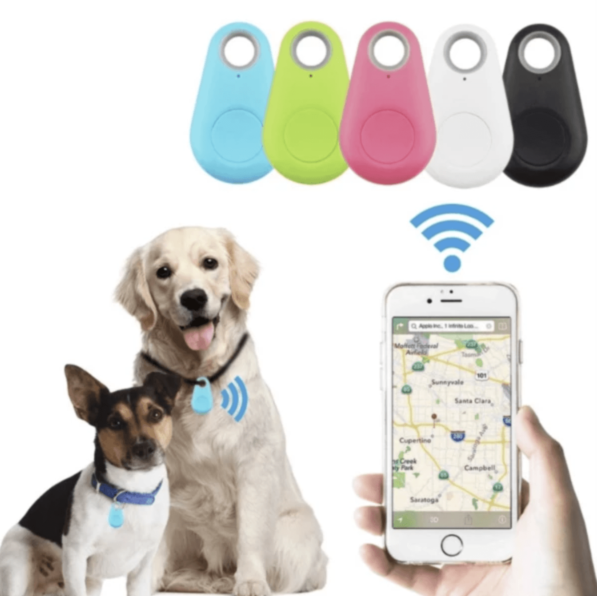 Mini GPS pour chiens et chats