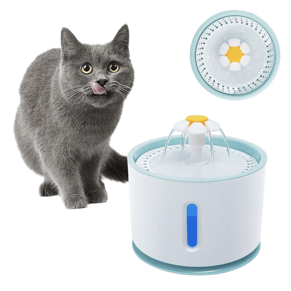 Fontaine 360 à eau pour chats et chiens