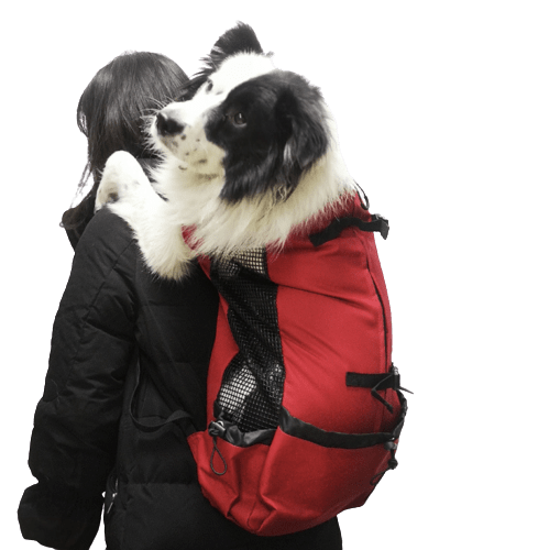 Porte Chien harness pour chien  Dog Carrier Sac à dos pour chien