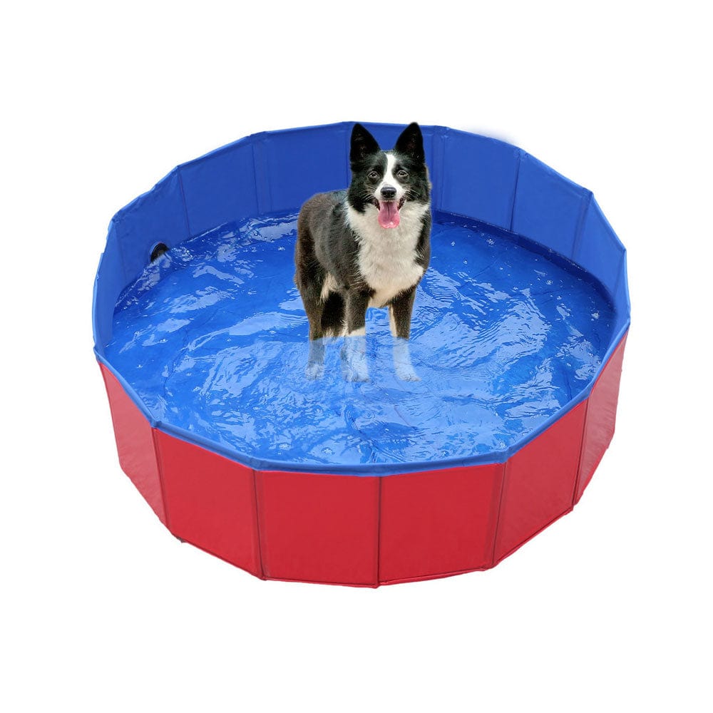 Piscine pour chien