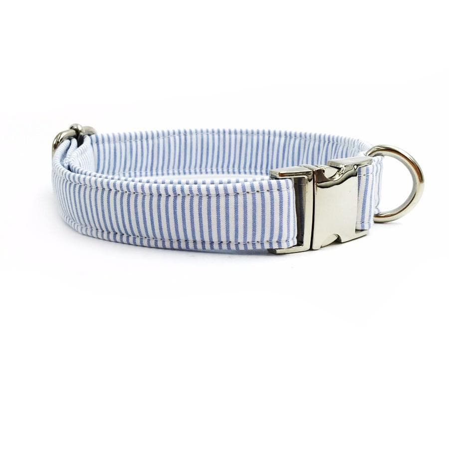 Collection Azur : Ensemble Laisse, Collier et Noeud Papillon