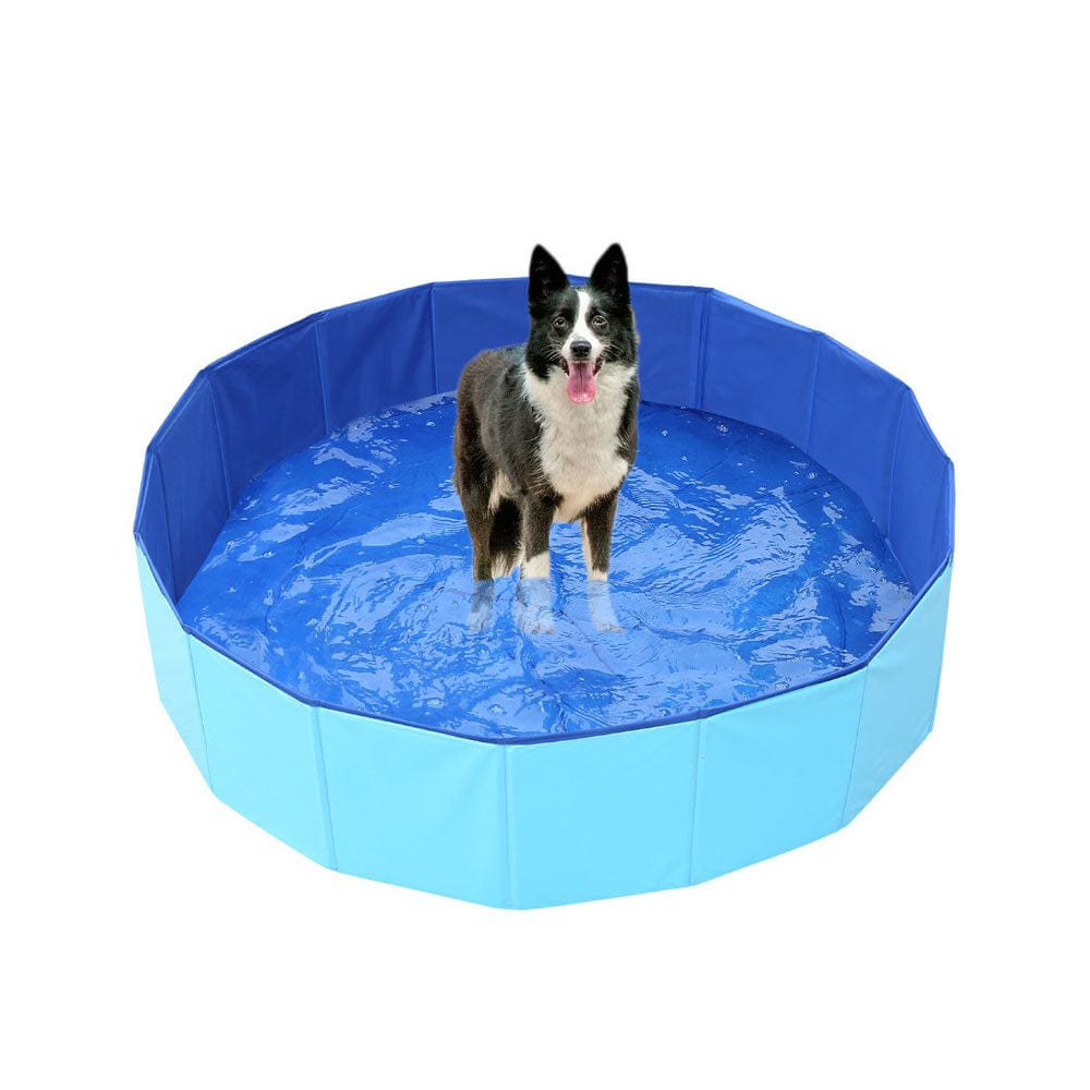 Piscine pour chien