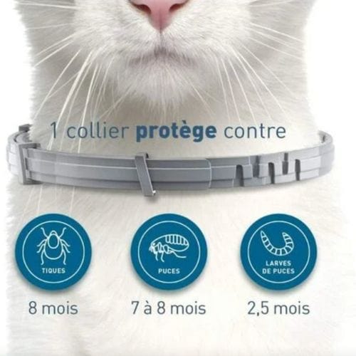 Collier Anti-Parasites Naturel pour Chats