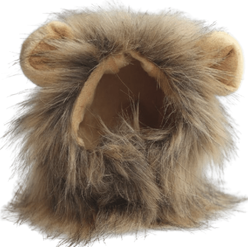 Costume Lion - vêtement pour chat