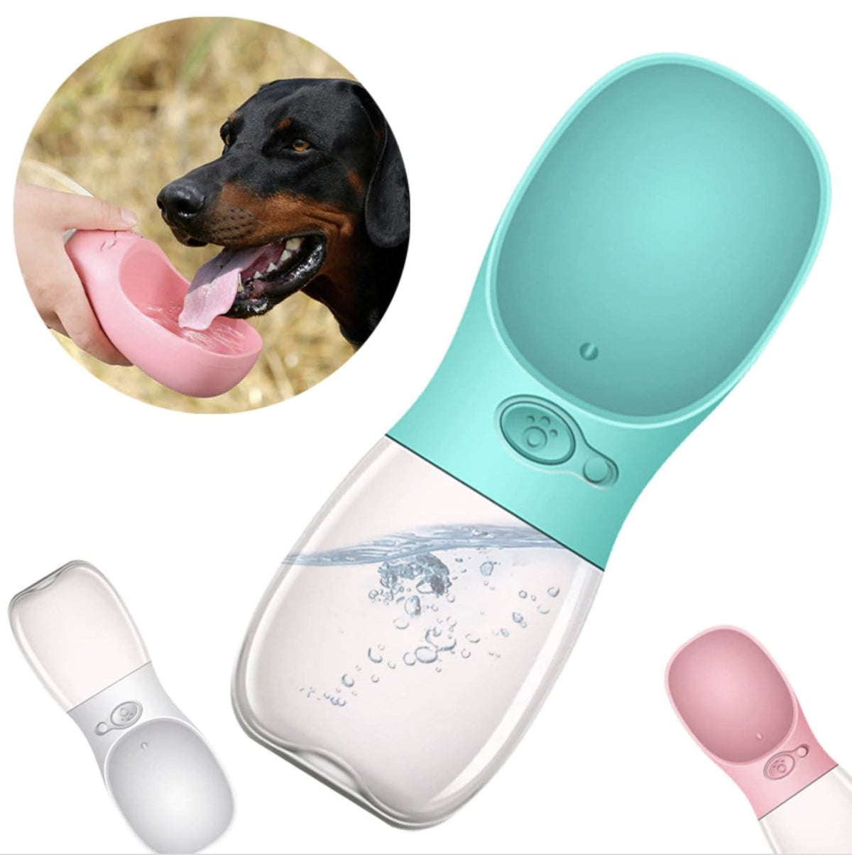 Gourdes Portables Pour Chiens