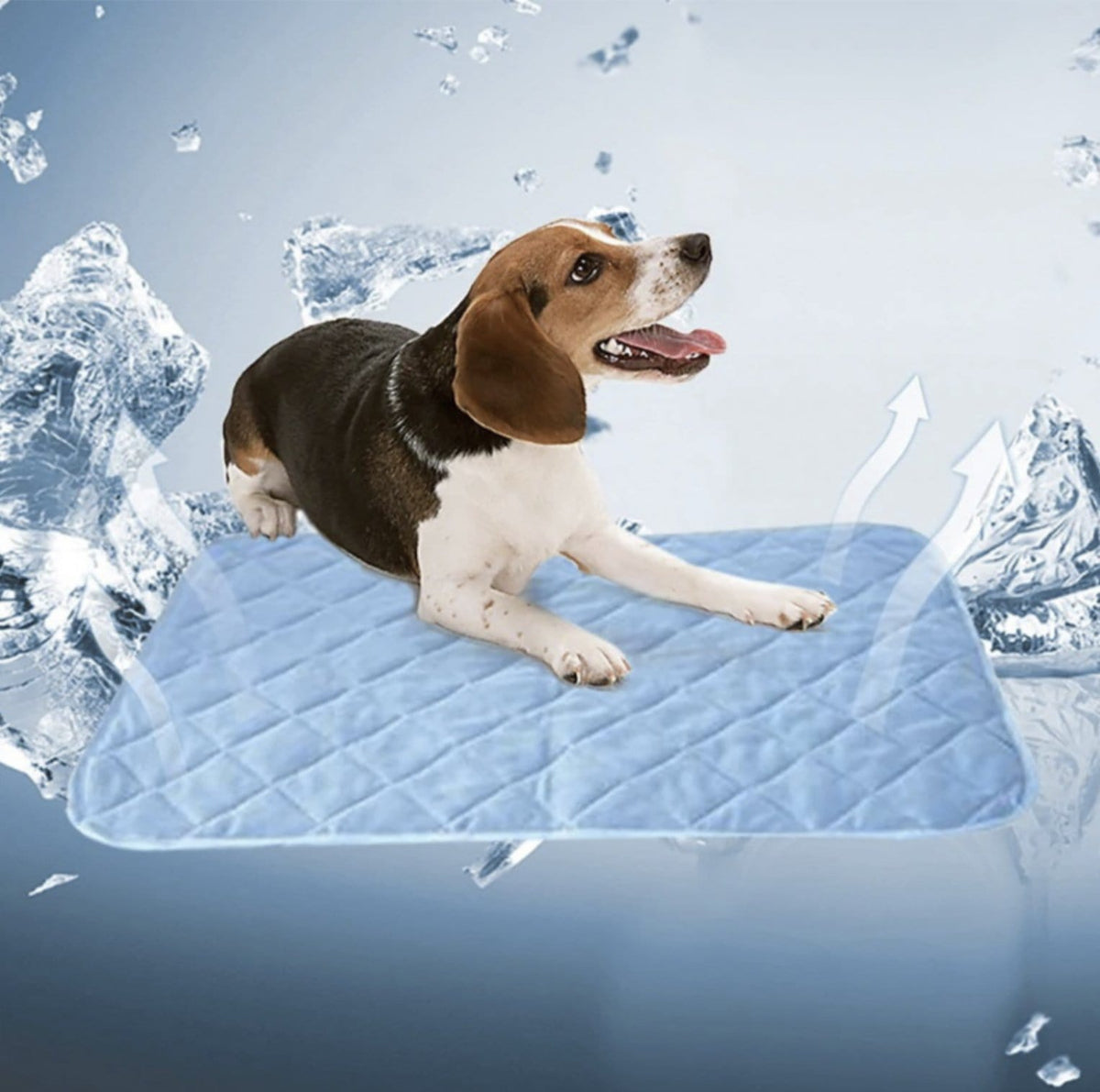 Tapis Refroidissant pour Chiens et Chats