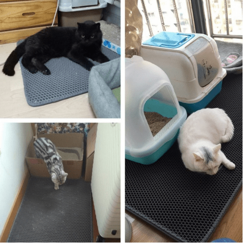 Tapis de Litière pour Chat