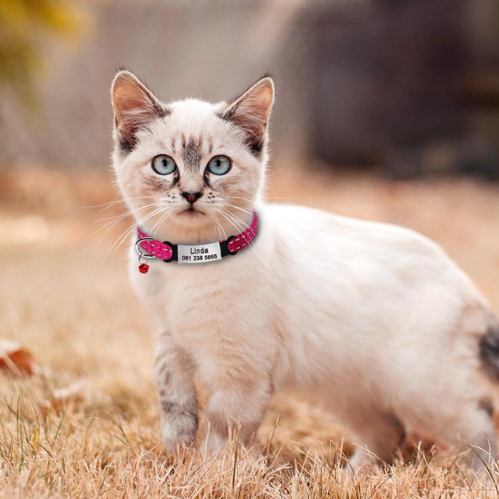 Collier Chat Élastique Personnalisé