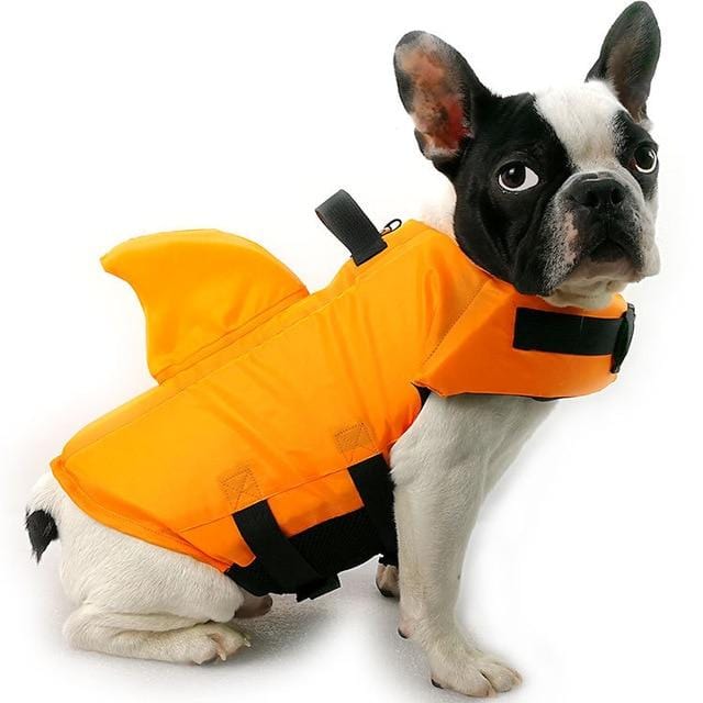 Gilet de natation requin pour Chien