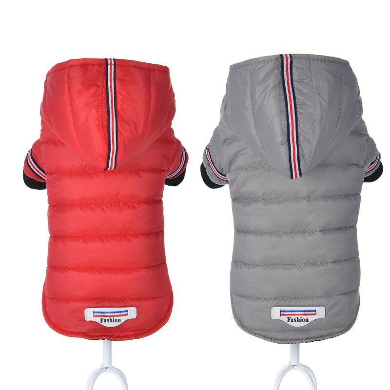 Veste Fashion Imperméable pour Chien