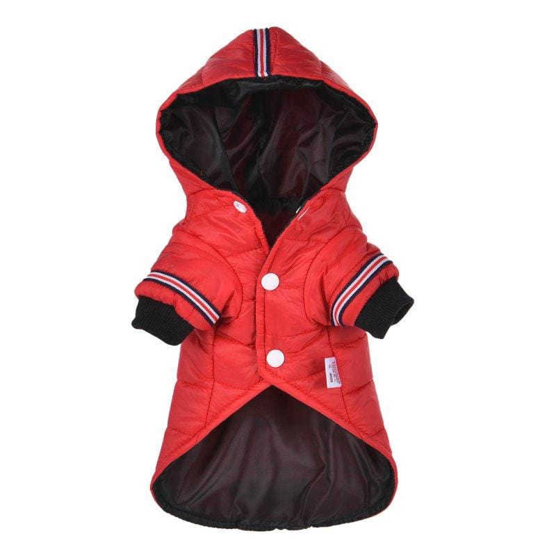 Veste Fashion Imperméable pour Chien