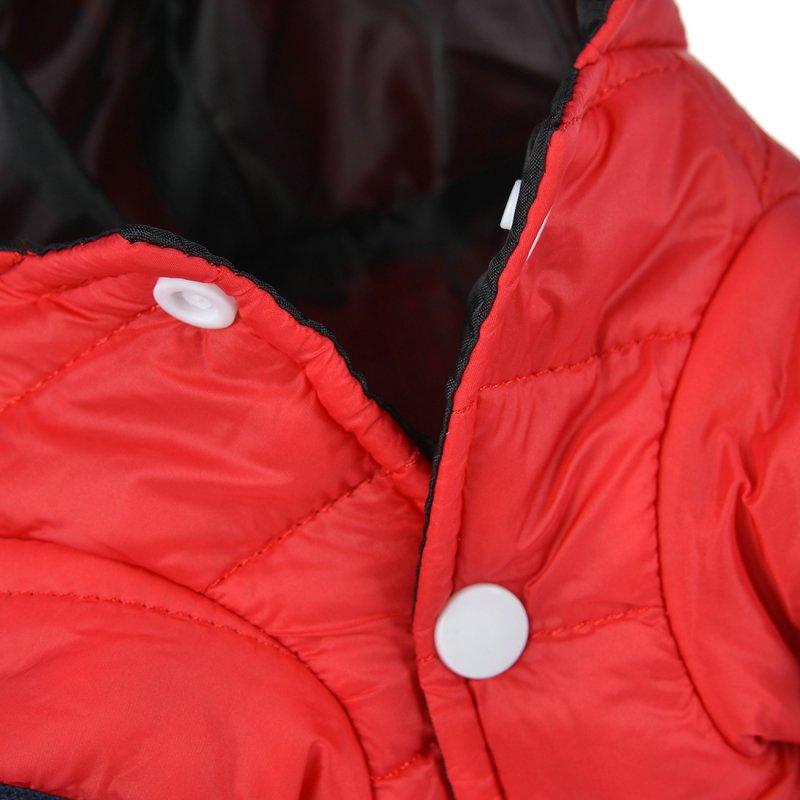 Veste Fashion Imperméable pour Chien