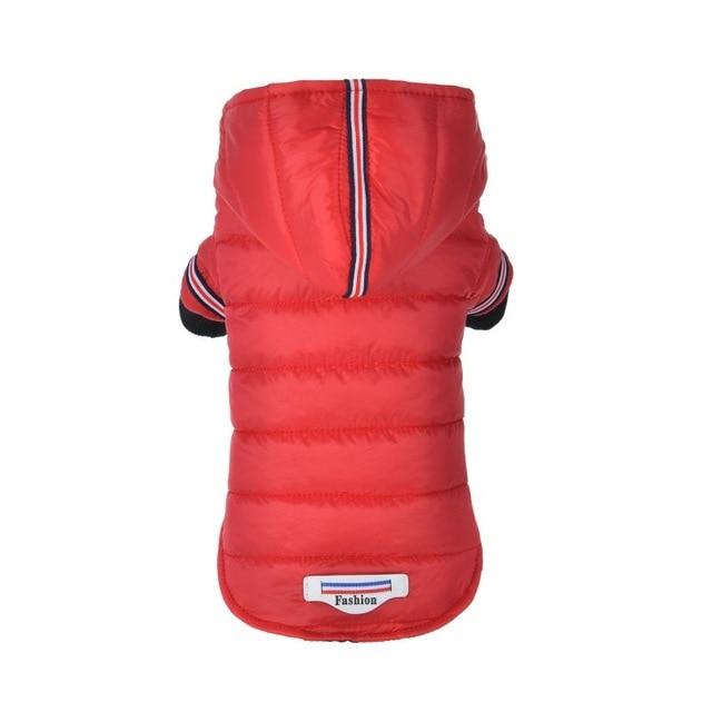 Veste Fashion Imperméable pour Chien