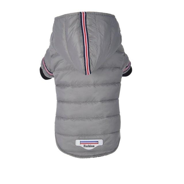 Veste Fashion Imperméable pour Chien