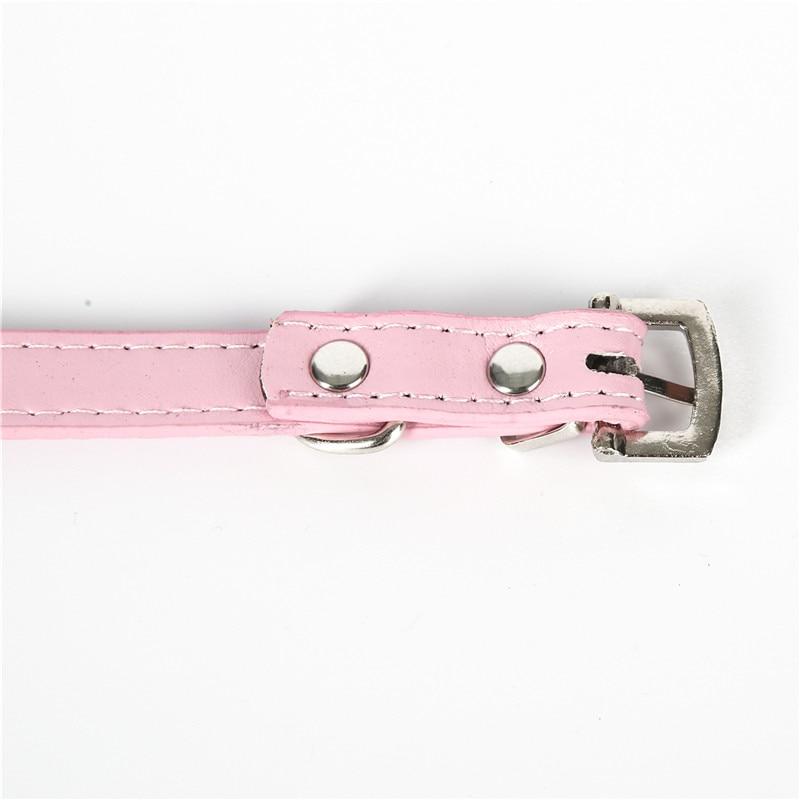 Colliers en cuir avec diamants Pour Chiens