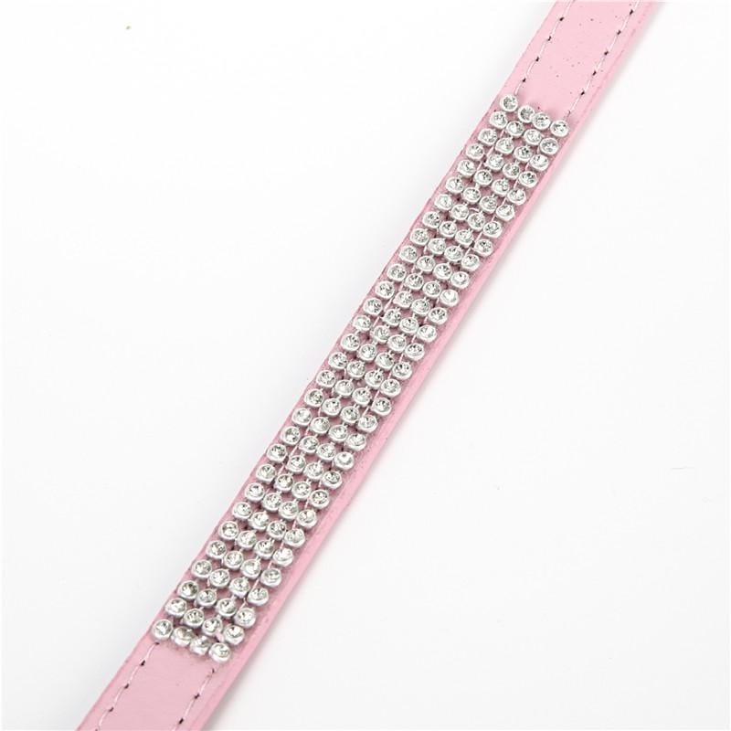 Colliers en cuir avec diamants Pour Chiens