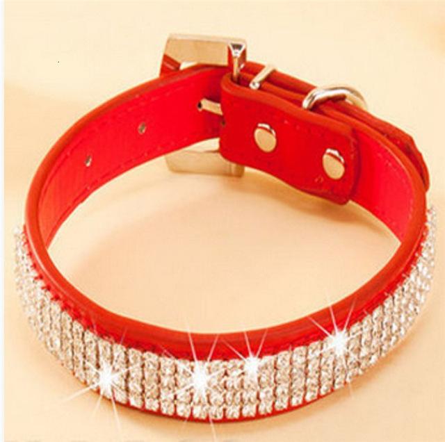 Colliers en cuir avec diamants Pour Chiens