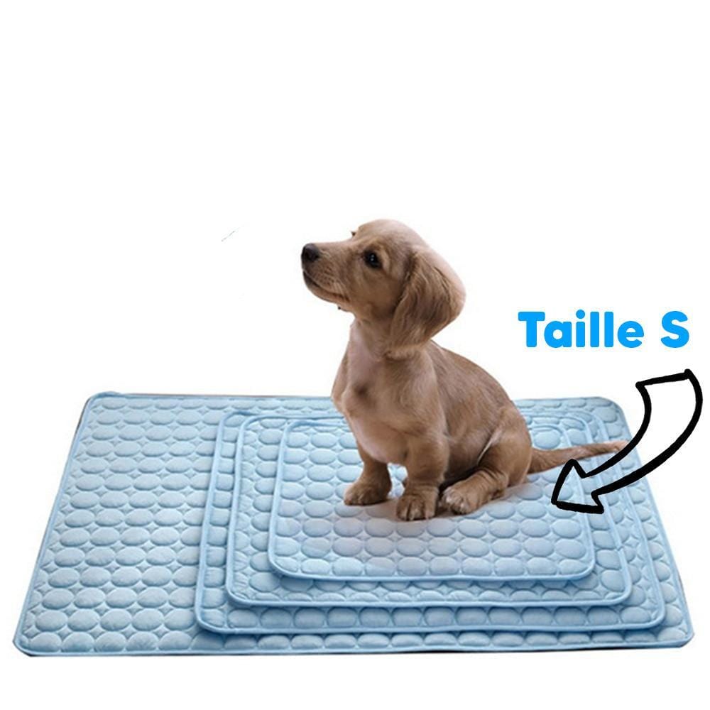 Tapis Refroidissant pour Chiens et Chats