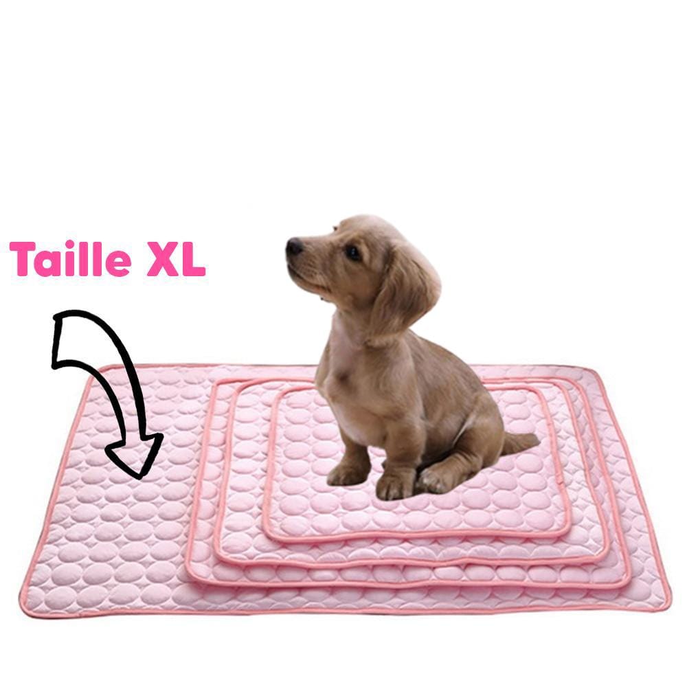 Tapis Refroidissant pour Chiens et Chats