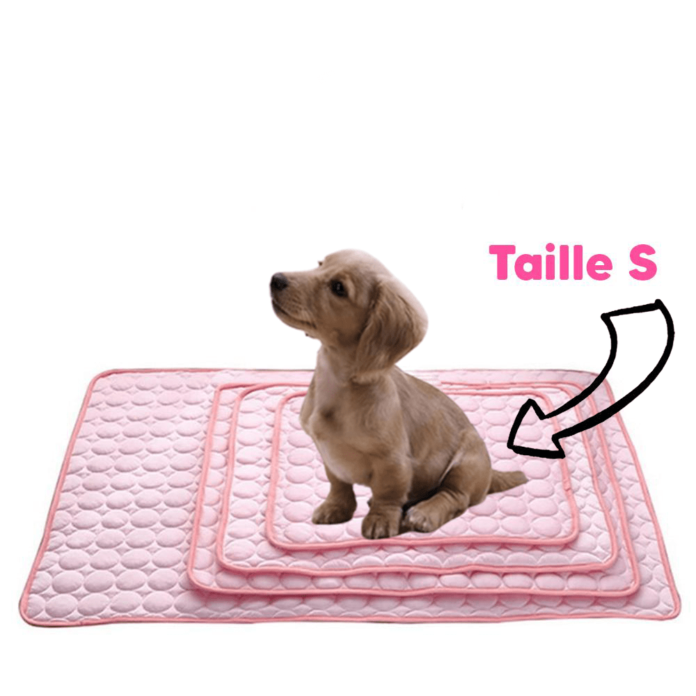 Tapis Refroidissant pour Chiens et Chats