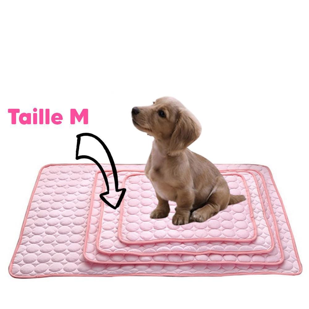 Tapis Refroidissant pour Chiens et Chats