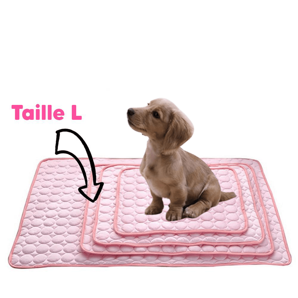 Tapis Refroidissant pour Chiens et Chats