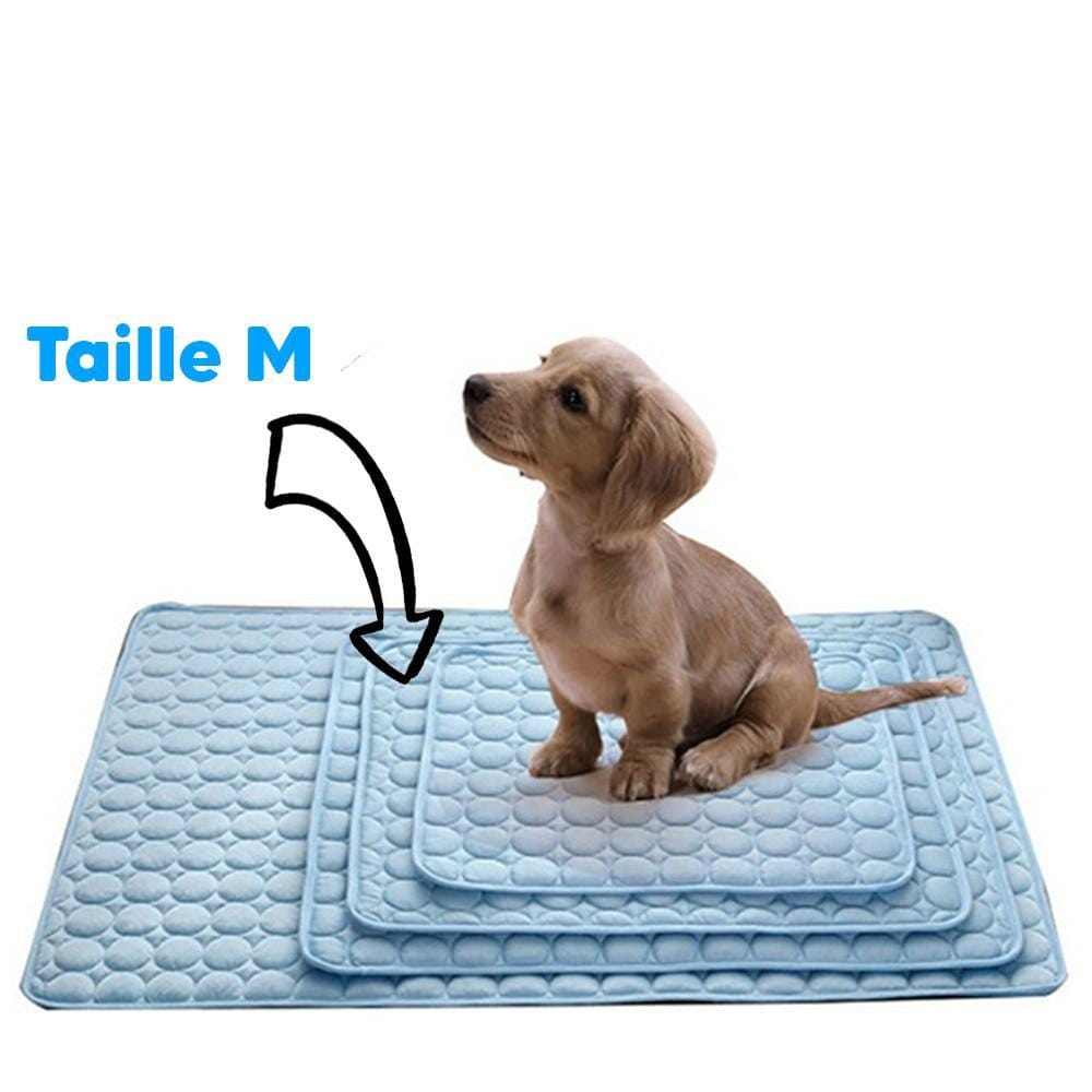 Tapis Refroidissant pour Chiens et Chats