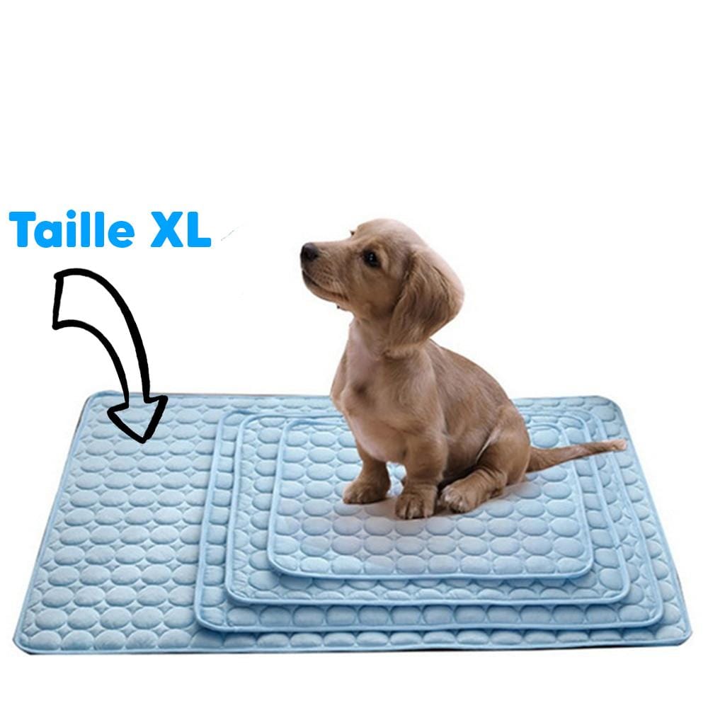 Tapis Refroidissant pour Chiens et Chats